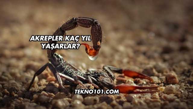 Akrepler Kaç Yıl Yaşarlar?