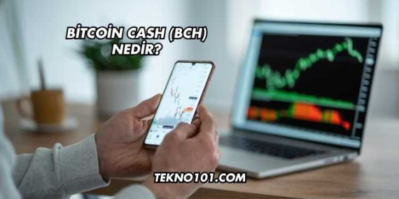 Bitcoin Cash (BCH) Nedir?