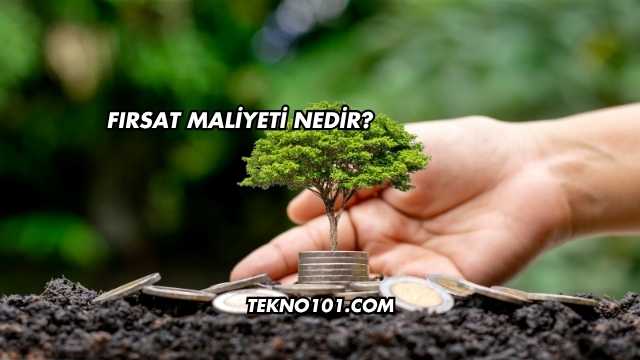 Fırsat Maliyeti Nedir?