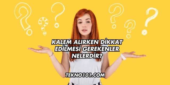 Kalem Alırken Dikkat Edilmesi Gerekenler Nelerdir?