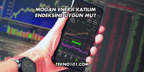 Mogan Enerji Katılım Endeksine Uygun mu?