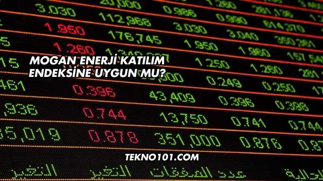 Mogan Enerji Katılım Endeksine Uygun mu?