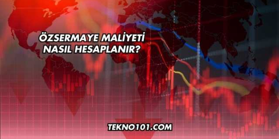Özsermaye Maliyeti Nasıl Hesaplanır?