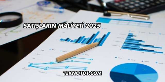 Satışların Maliyeti 2025