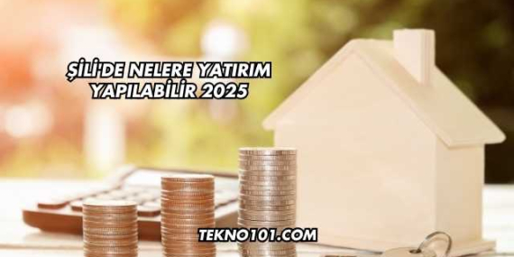 Şili’de Nelere Yatırım Yapılabilir 2025