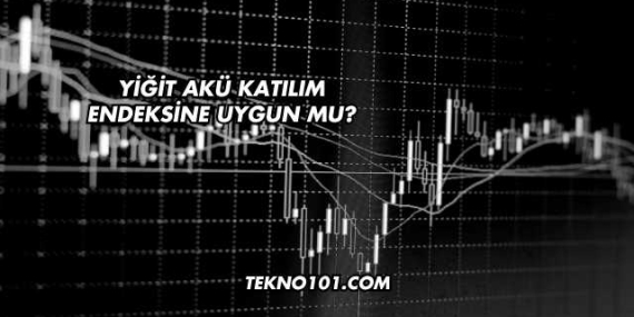 Yiğit Akü Katılım Endeksine Uygun mu?