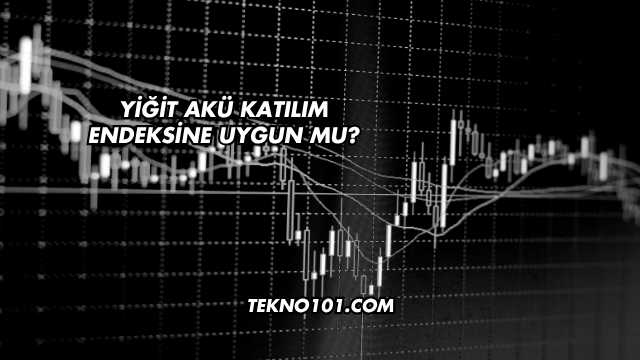Yiğit Akü Katılım Endeksine Uygun mu?