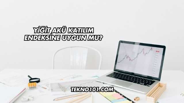Yiğit Akü Katılım Endeksine Uygun mu?